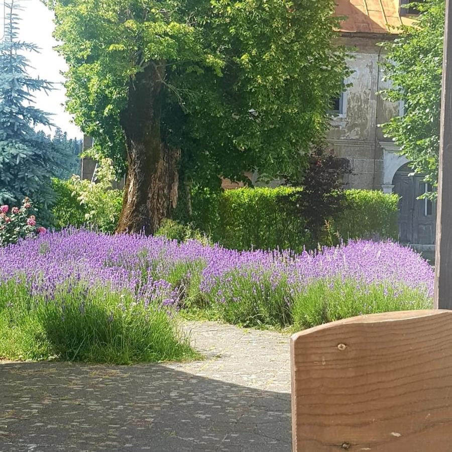 Fuzinarska Kuca Hotel Fužine Екстериор снимка